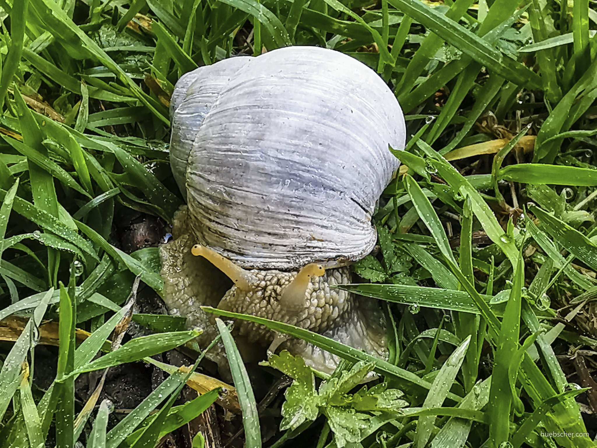 Obersee 20200509 114544